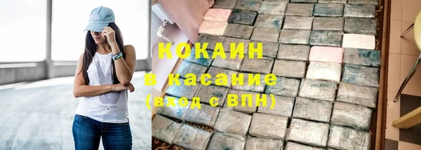 шишки Кодинск