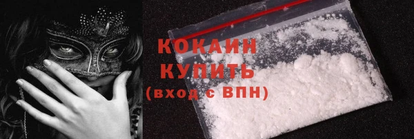шишки Кодинск