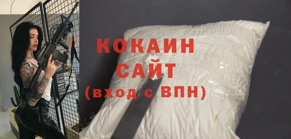 шишки Кодинск