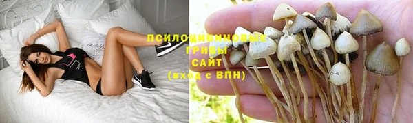 винт Козельск