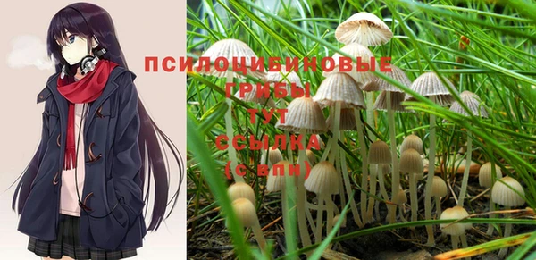 винт Козельск