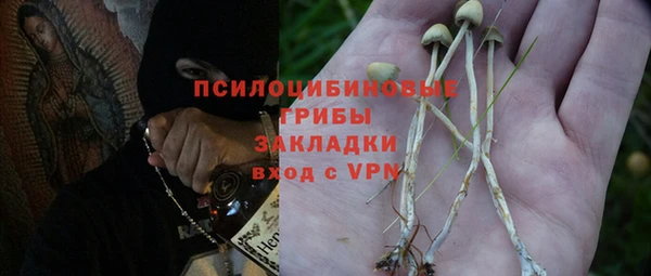 винт Козельск