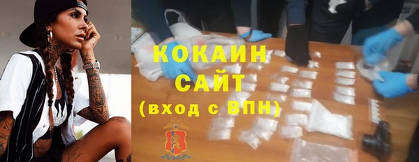 шишки Кодинск