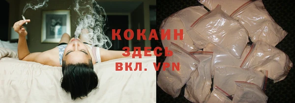шишки Кодинск