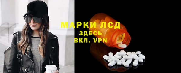 шишки Кодинск