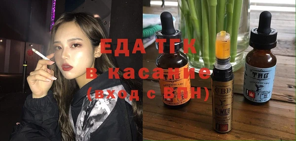 шишки Кодинск