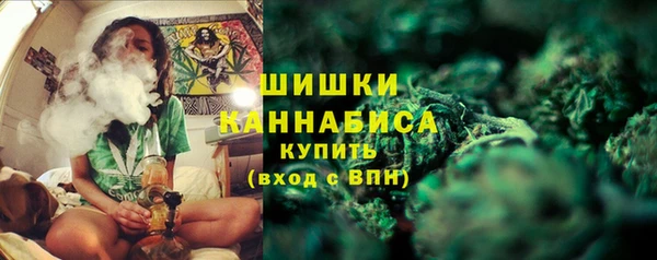 шишки Кодинск