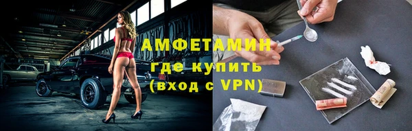 шишки Кодинск