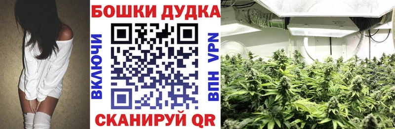 Купить где  Арзамас  Бошки Шишки гибрид 